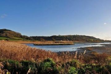seaton wetlands